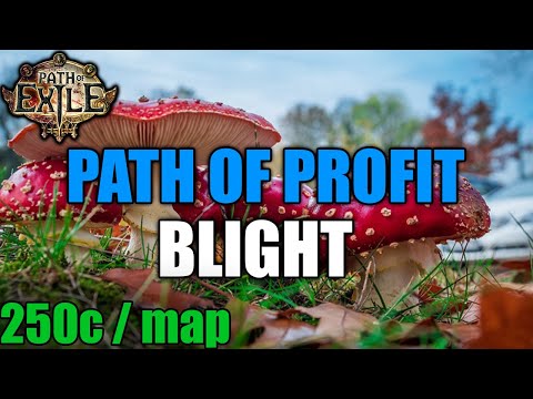 CASUAL Friendly Blight Testing INSANE profit per map | Path of Exile 3.14 Ultimatum