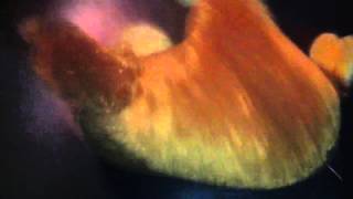 Teddy terror ep 8 (no one cares about you )