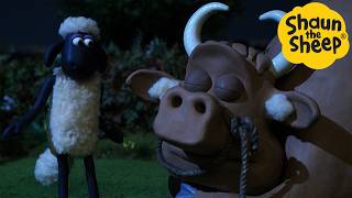 Bull Rampage! 🐑 Shaun the Sheep - Cartoons for Kids 🐑 Full Episodes Compilation [1 hour]