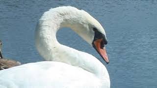 HÍREK A TERMÉSZETBŐL