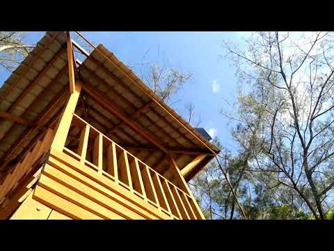 Petang Tanjung Aru Beach | BKI | Feb 2020