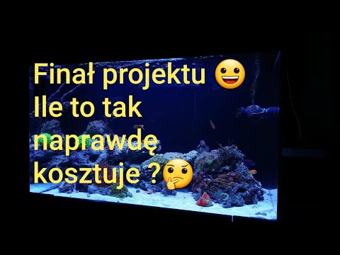 03.Duże tanie akwarium morskie FINAŁ!!!