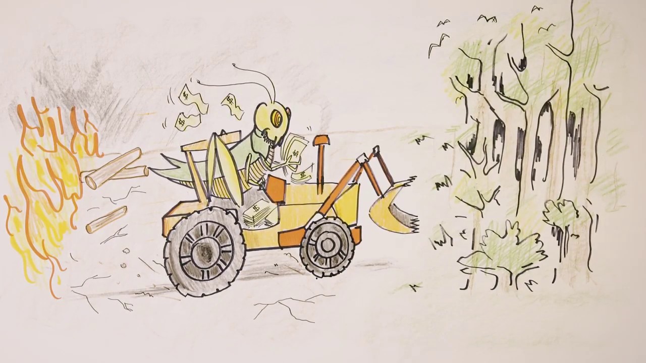 Como ocorre o crime de grilagem de terras públicas na prática?