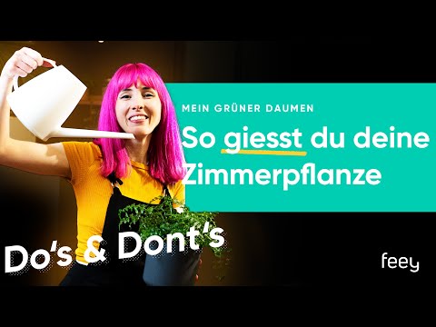 How to water houseplants correctly: 🪴🚿 here's how | feey