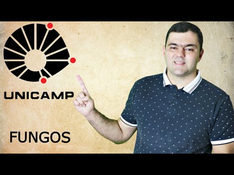 UNICAMP 2022 (1ª Fase) - Questão 70 (Q e X) - Dezenas de espécies de fungos bioluminescentes