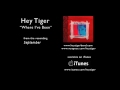 Hey Tiger - Where I've Been