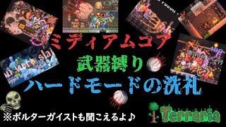 【Terraria】ミディアムコアと武器縛りで死ぬテラリア【マルチ実況】part9