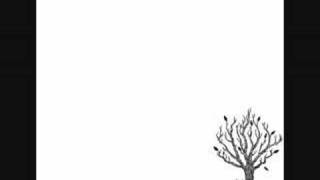 MEWITHOUTYOU carousels