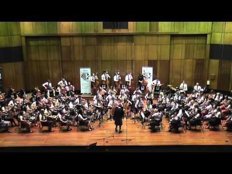 Dashing White Sergeant - South Africa style!  Ayrshire Fiddle Orchestra