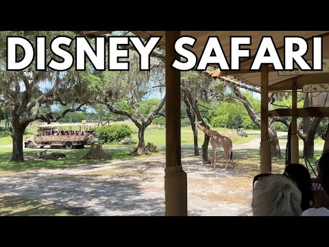 Disney's Animal Kingdom Kilimanjaro Safari FULL RIDE