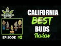 CALIFORNIA Best Buds Review 2 Bud Report By Captain Hooter