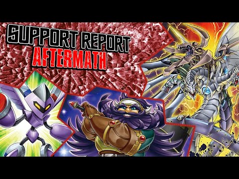 Support Report 2021 - Part 1: Aftermath