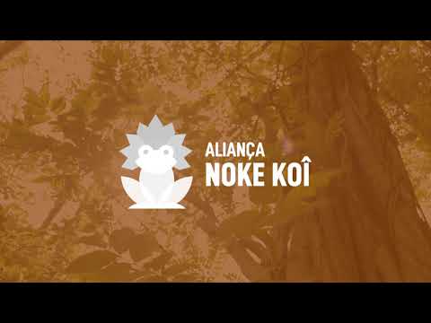 Panã Kamanawa - Kawaii Waraino - Aldeia Kamanawa - Povo Noke Koi