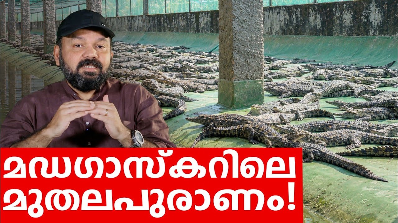 Sancharam | Madagascar - 20 | Santhosh George Kulangara | Safari TV