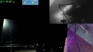 【ツバメさんSwallow】20230728電線空配信´・ω・｀)Wild birds