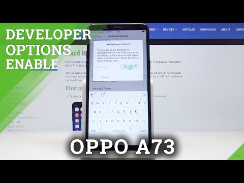 How to Enable Developer Options on OPPO A73 – Discover Secret Android Menu