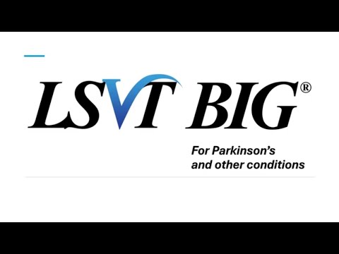 What is LSVT BIG?