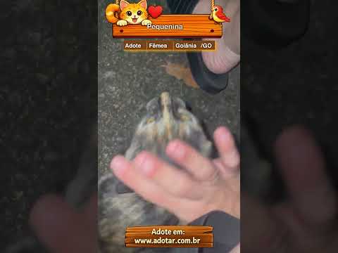 Vídeo de Pequenina