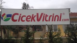 Çiçek göndermek artık çok kolay.!