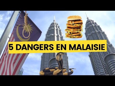 🇲🇾⚠️ 5 DANGERS EN MALAISIE ⚠️ 🇲🇾