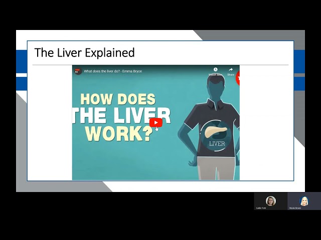 Liver and Kidney