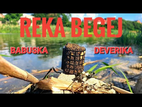 BABUSKE I DEVERIKE NA FEEDER - REKA BEGEJ