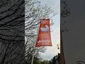 Koningsnacht Nederland Nederlands Koningsdag Shorts