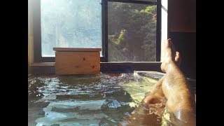 唄げんかの湯（木浦名水館）大分と宮崎の県境にある山奥の隠れ温泉 in 佐伯市