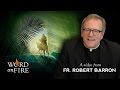 Fr. Robert Barron on PALM SUNDAY - YouTube