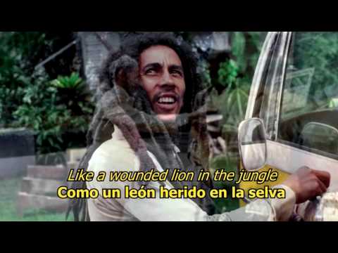Wounded lion in the jungle - Bob Marley (LYRICS/LETRA) (Reggae)