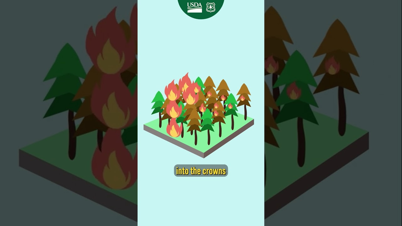 Putting fire on the ground