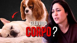 O CACHORRO DEVE VER O CORPO DO OUTRO MORTO?