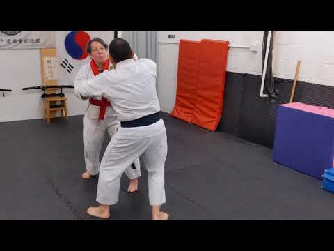 Tang (Dang) Soo Do - Passai Dae (Itosu Passai) - Analysis & Application