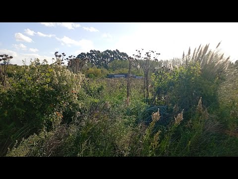 Un bar abandonado en paso de la arena 