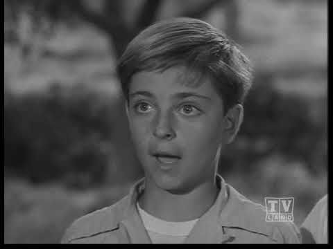 Lassie  S02e08  The Witch