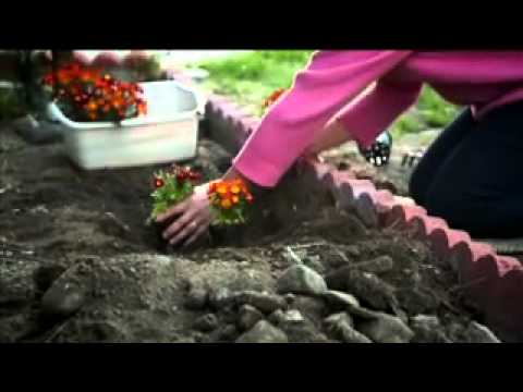 Christian World News: August 17, 2012 - CBN.com