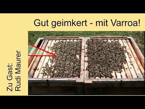 , title : 'Gut geimkert - mit Varroa! Eine Betriebsweise'