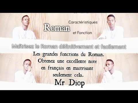 Roman : Fonctions Et Caratéristiques