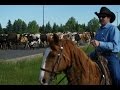 Cheyenne Frontier Days 2015 Cattle Drive 