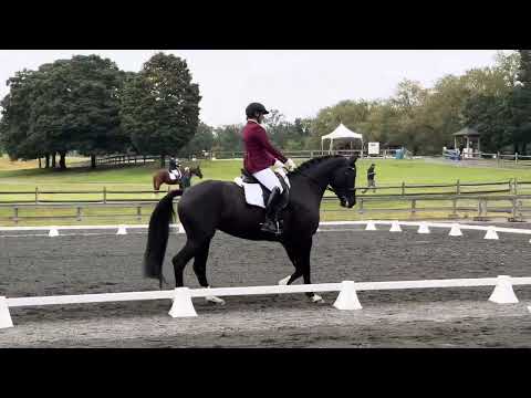 Dressage at Rosemount II 9/7/25 Second Level T3 