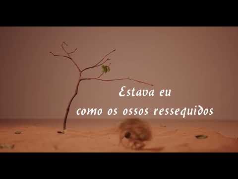 Ossos ressequidos - #ossosressequidos  - Ezequiel 37