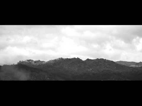 peixe:aviao - "Pele e Osso"