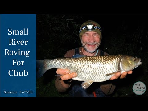 Small River Roving For Chub - 14/7/20 (Video 164)
