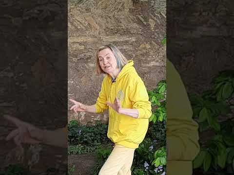 Bettys Fulda & Friends: Stadtmauer, Türme und Tore