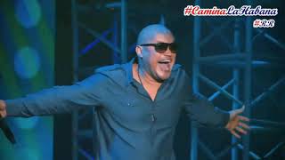 ANDA VEN Y QUIEREME (EN VIVO - PERÚ) LOS VAN VAN | CAMINA LA HABANA by RENZO REY #RR