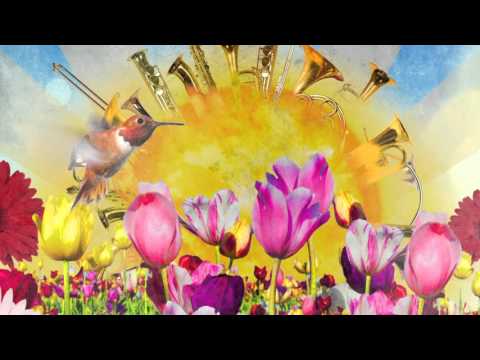 Khamoro 2016 - televizní spot