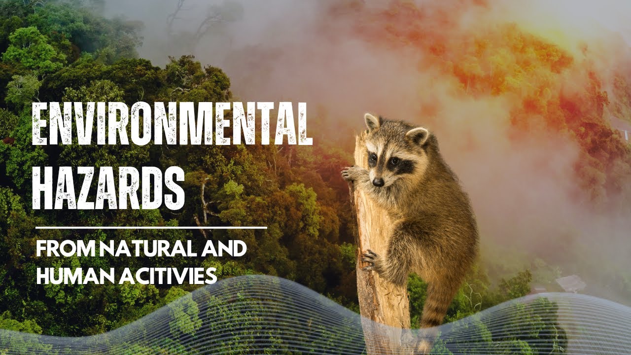 Environmental hazards