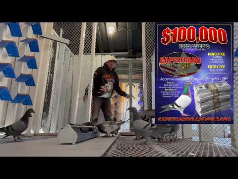 Capistrano Classic OLR 2026 Season