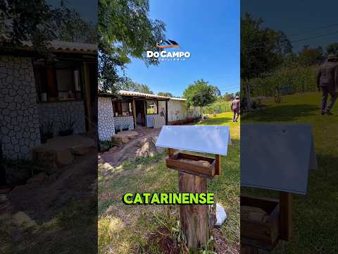 Chácara a venda em Santa Catarina #docampoimobiliária