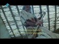 Ameer Mukhtar Last Fight Urdu